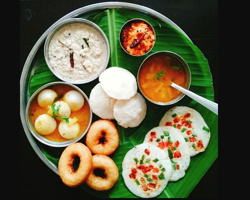 Stag Life Chikkamagaluru