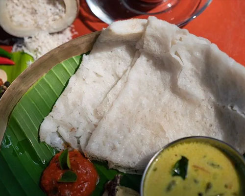 Stag Life Chikkamagaluru