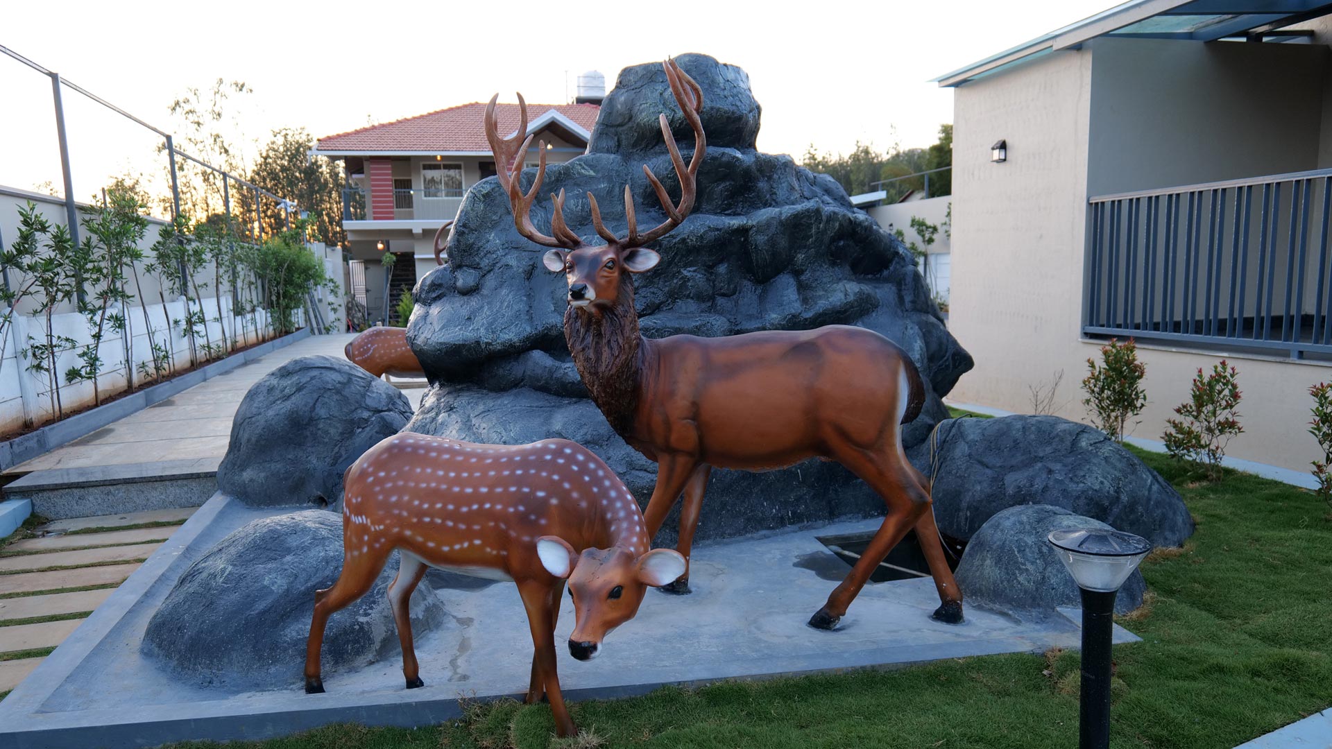 Stag Life Chikkamagaluru